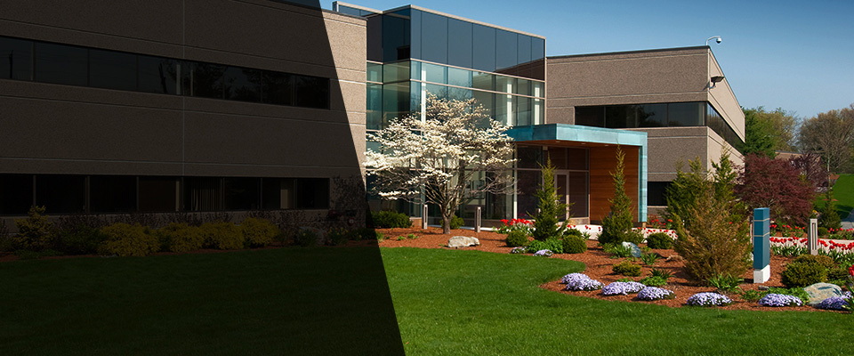 Prescott Landscapers
