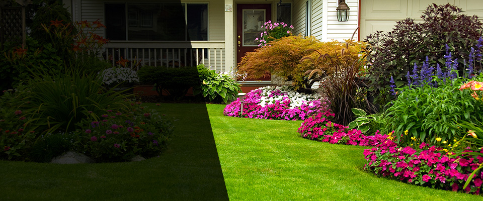 Prescott Landscapers