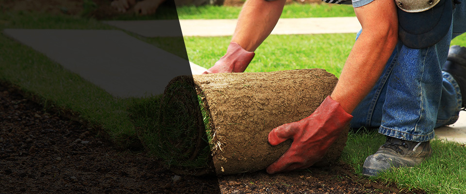 Prescott Landscapers